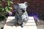 Preview: Koala mit Baby